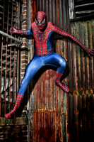 Spiderman / Kraven the Hunter