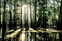Boneyard Lake